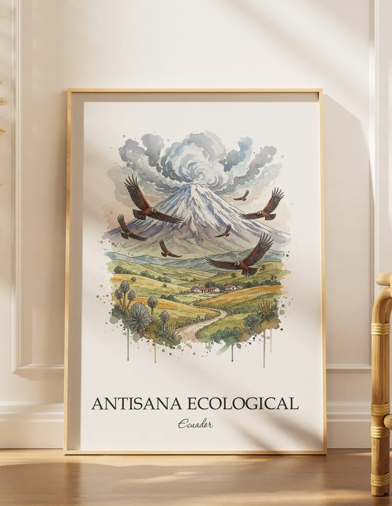 Minimalist poster of Antisana Ecological in Ecuador in a light frame standing on the floor in a dark moody interior.