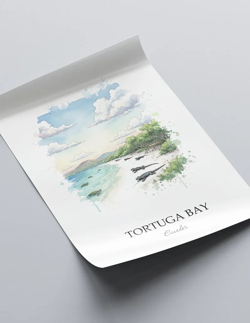 Framed wall art featuring Tortuga Bay in Ecuador in a light wood frame leaning on the floor.