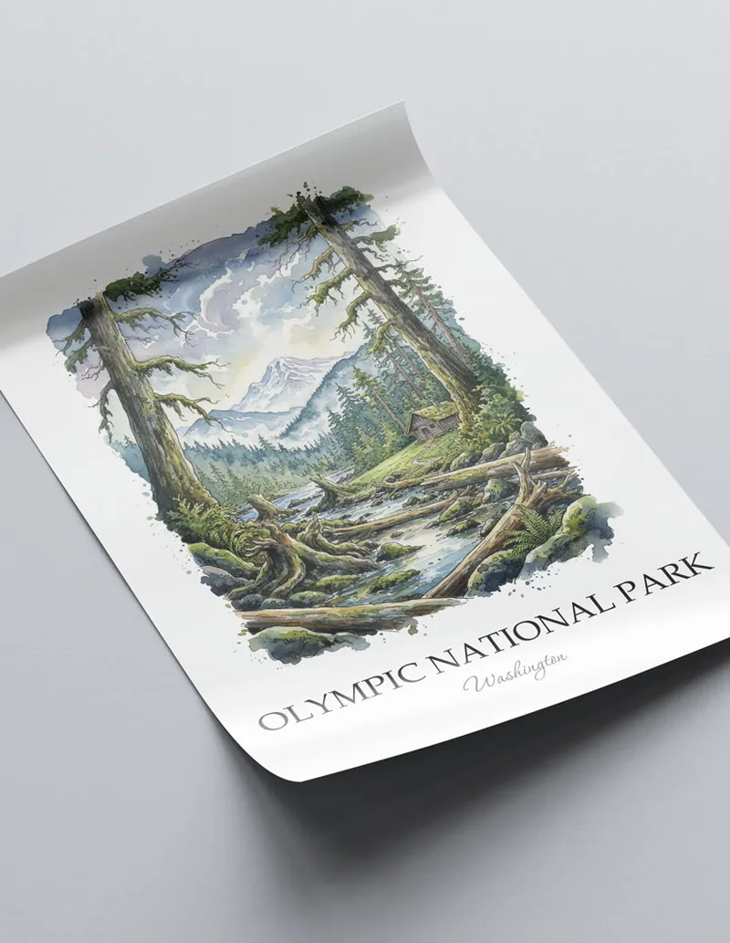 Framed wall art featuring Olympic National Park in Washington in a light wood frame leaning on the floor.