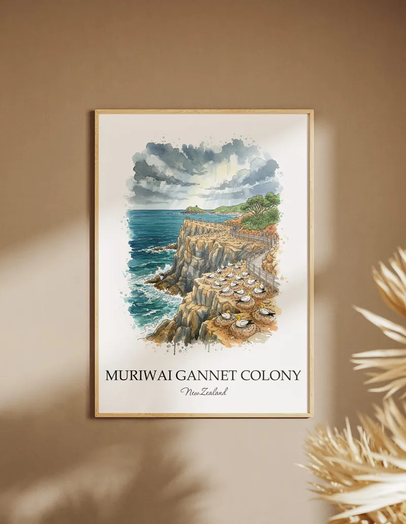 Framed wall art featuring Muriwai Gannet Colony, New Zealand in a light wood frame hanging above a sofa in a modern living room.