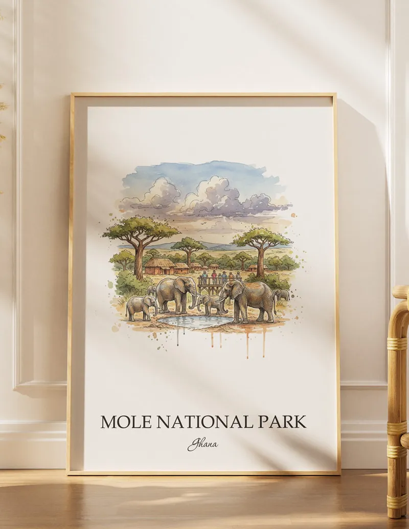 Minimalist poster of Mole National Park in Ghana in a light frame standing by a window in a boho style room.